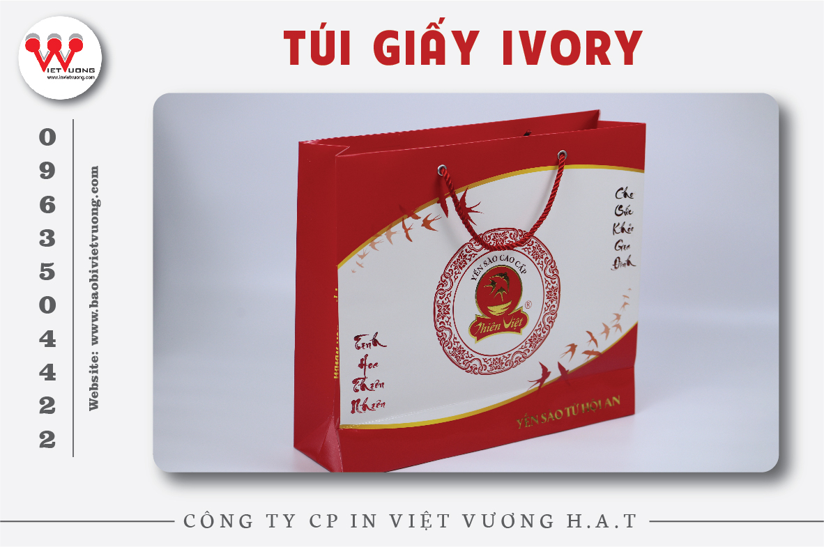 TÚI GIẤY IVORY CAO CẤP XU HƯỚNG IN ẤN NĂM 2024